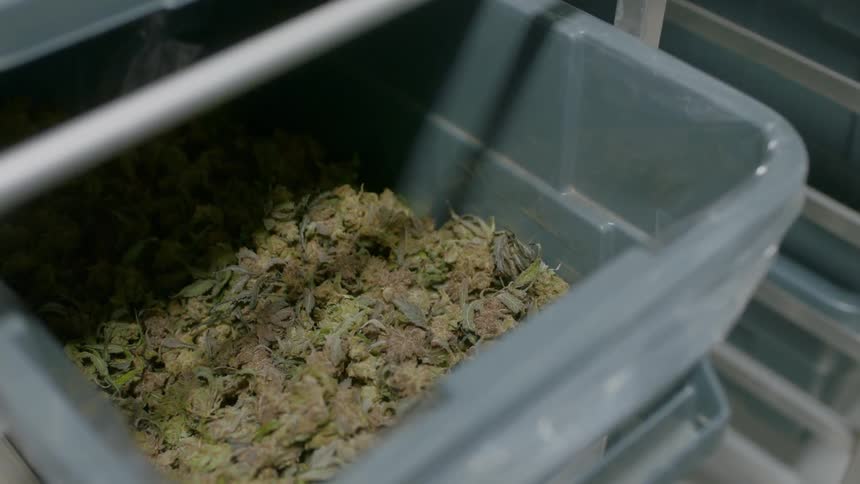 Vegetable clippings stored in plastic bin