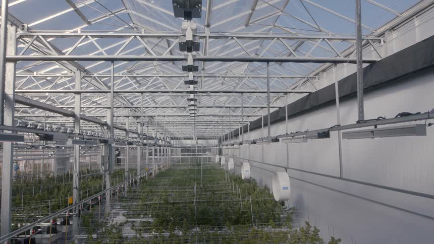 The greenhouse has many tables with plants