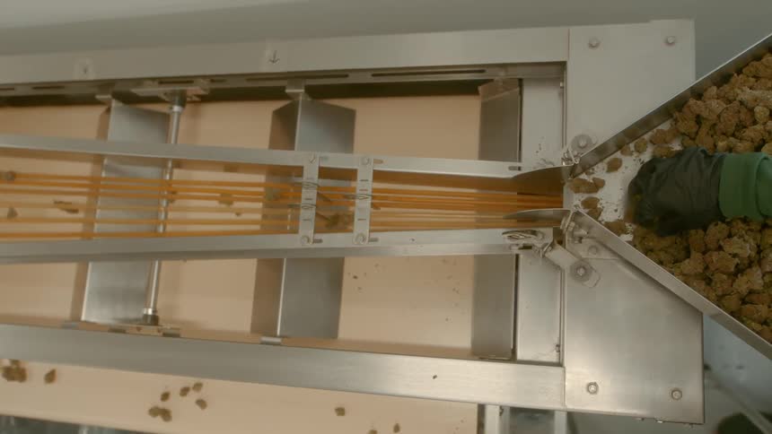 A person separates small nuggets that are sent on to a conveyor belt