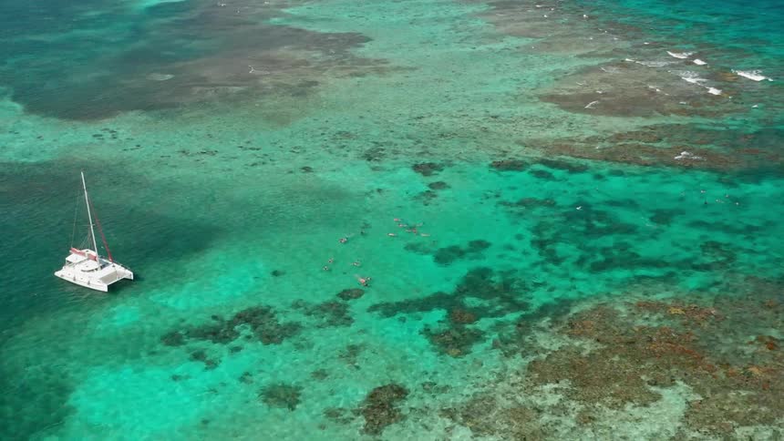 An aerial view of a beautiful ocean