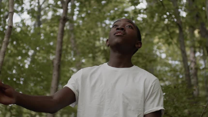 Black boy wearing a white t shirt holds a branch of a tree in the woods