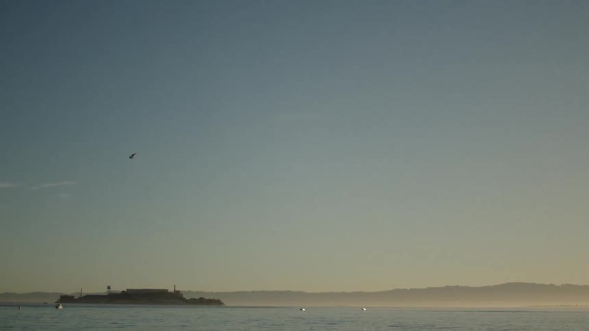 A bird flies over buoys in the ocean