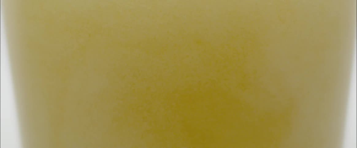 A yellow liquid swirling in a glass