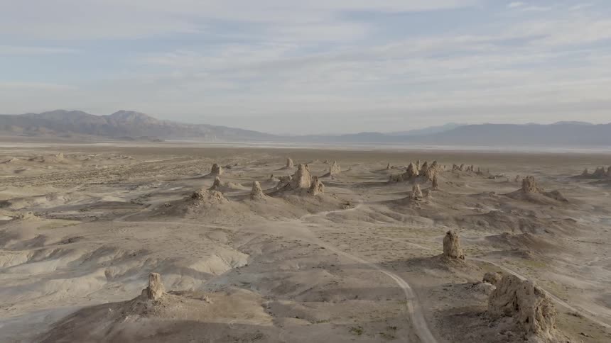 Dirt roads wind around tree stumps in the desert