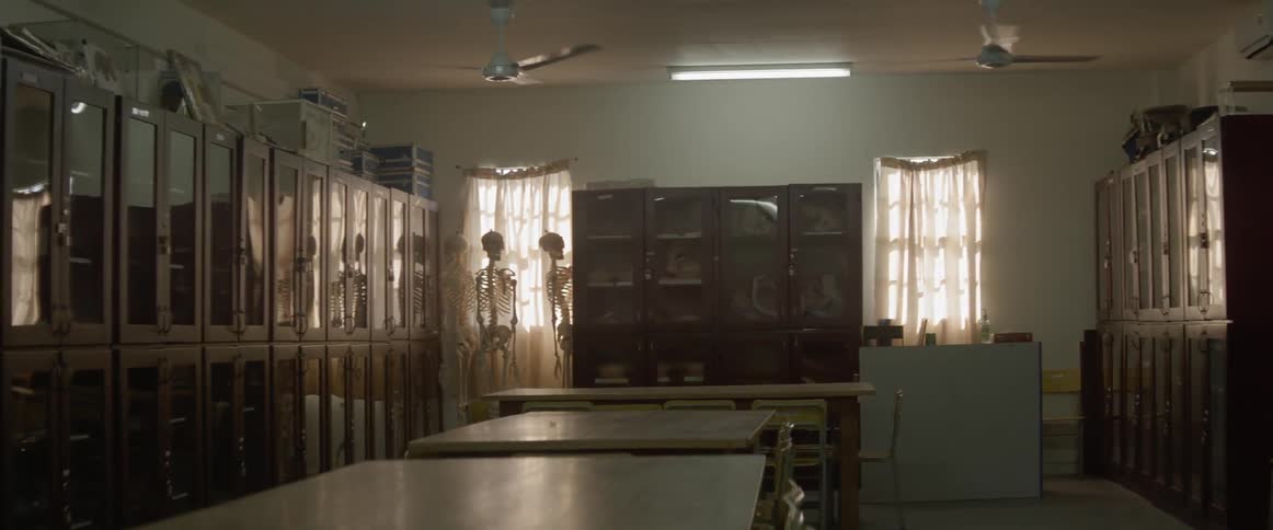 Skeletons are placed standing next to a window in a classroom