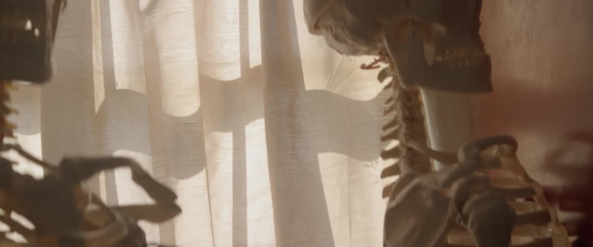 Articulated skeletons standing next to curtained window