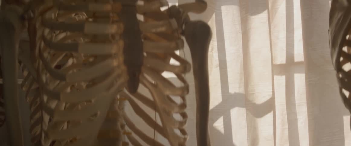 A skeleton stands before a curtained window
