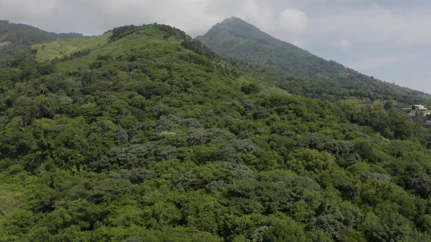 Hills lined with trees and forested mountain peaks