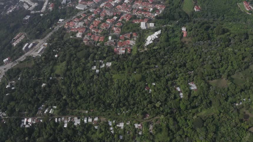 Home roof tops and streets surrounded by green trees