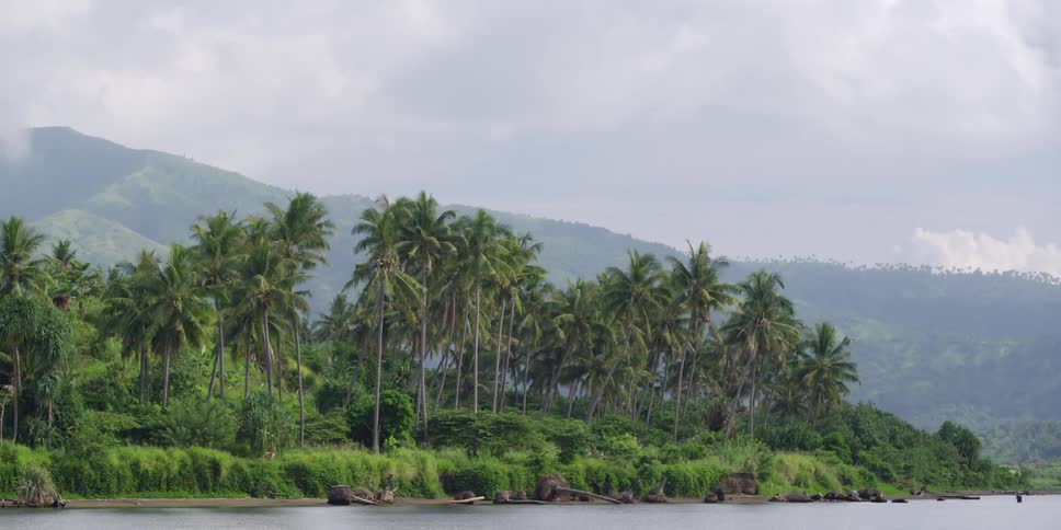 View of an island with palm trees on a cloudy day