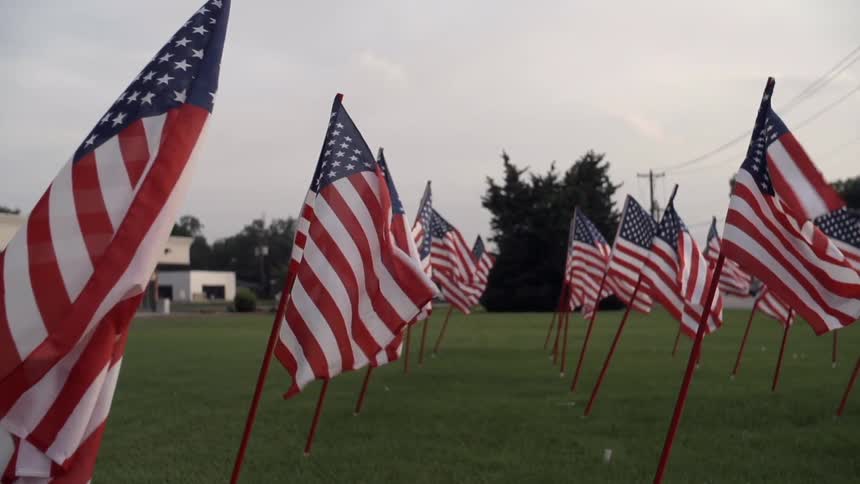 Us flags planted on in grass in a park blow in the breeze