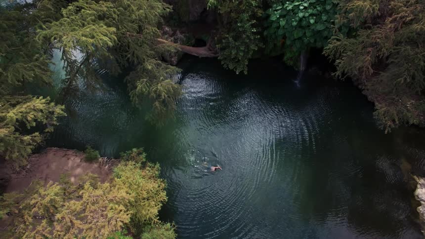 A person swims in a lake in the woods