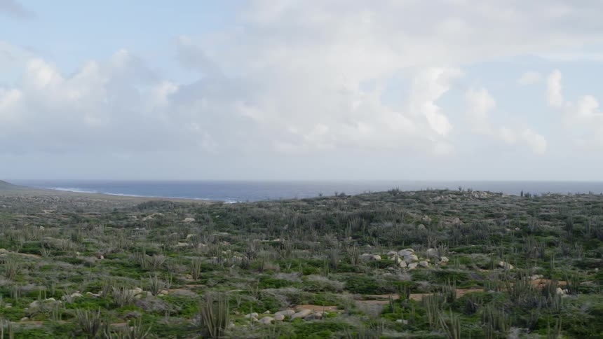 Traverse across a hilly cactus covered landscape bordering the ocean