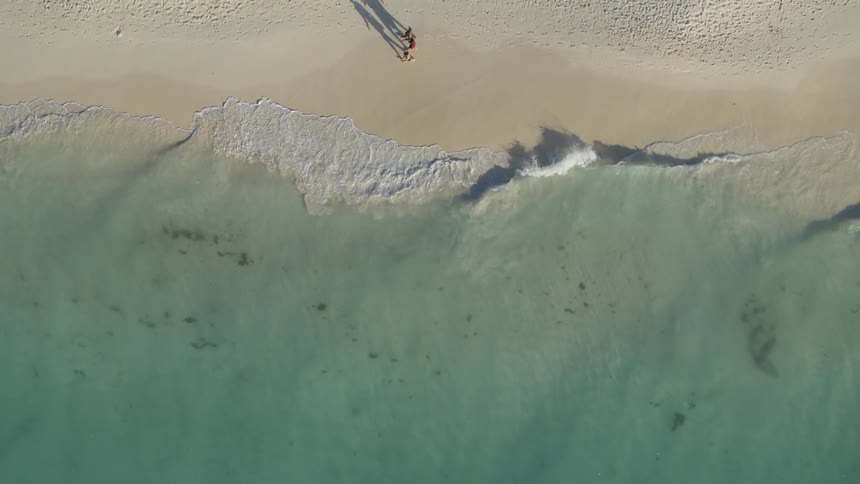 Reveal of three friends walking near the surf along a beautiful sandy beach