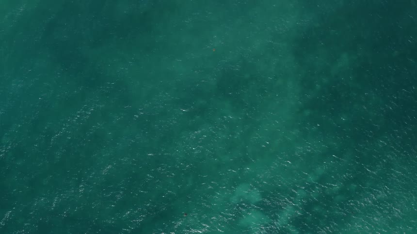 Overhead view of coral reef and surfacing sea turtles in shallow turquoise water