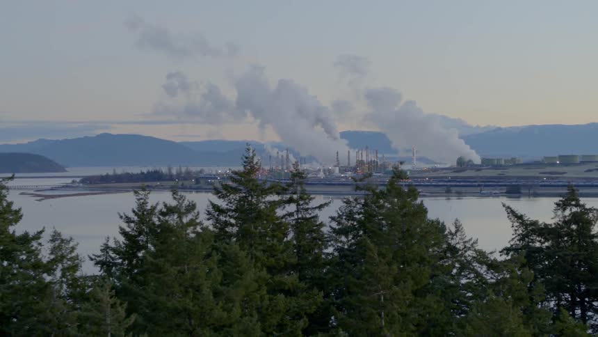 Refinery complex in the distance between mountains, trees and inland bay watershed