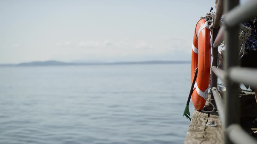 A person leans against the railing on a dock looking out at the water