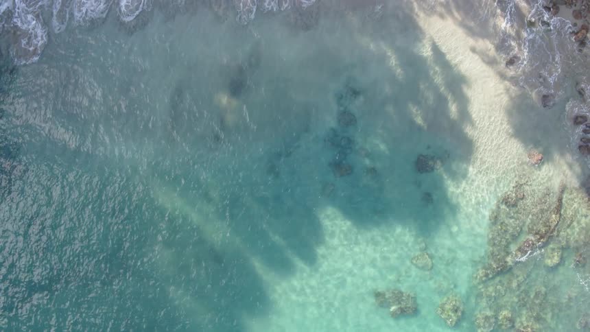 Beautiful turquoise water lapping against lush island resort beach
