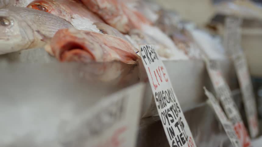 A market stand with fresh fish on ice and for sale signs in front of their containers