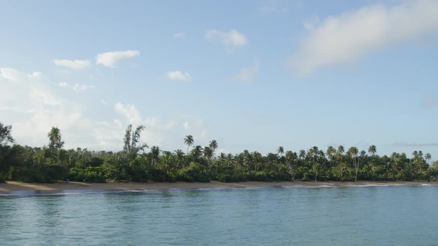 Flying low over the water of a small cove beach with palm trees and a tropical forest