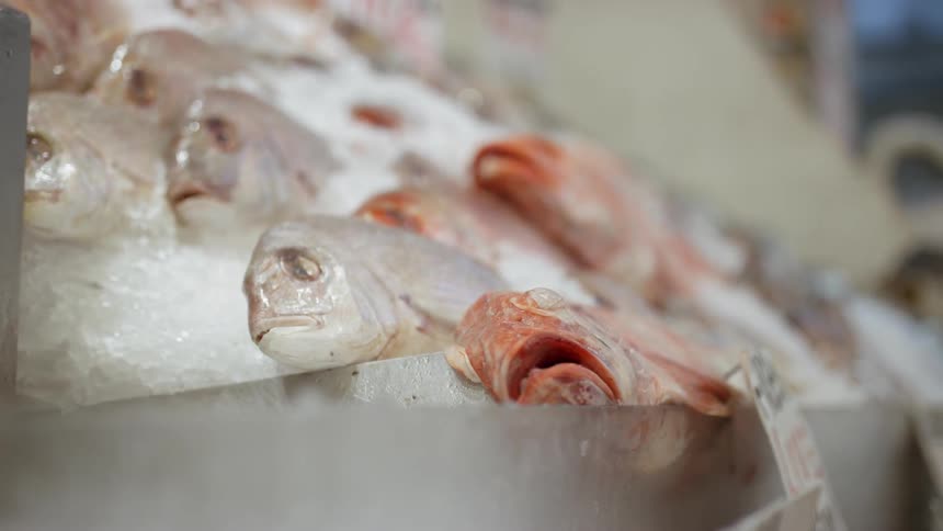 Cold fish laying on ice on display in a fish market