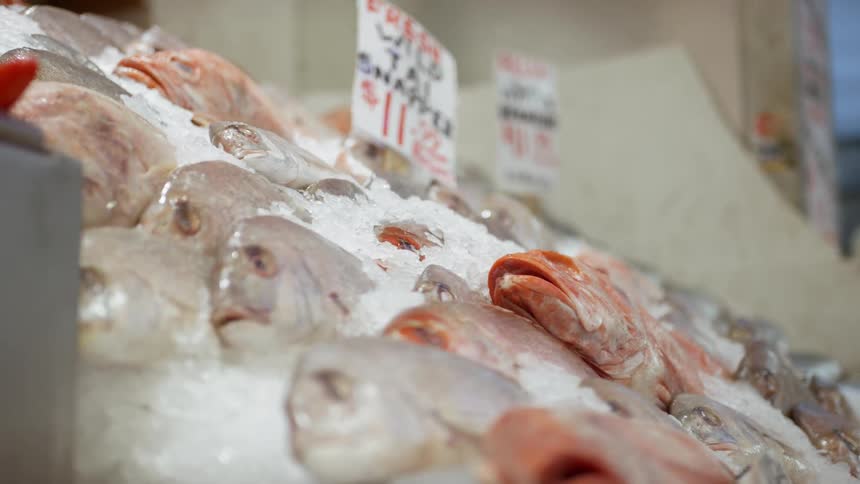 A group of fish being saled on the market