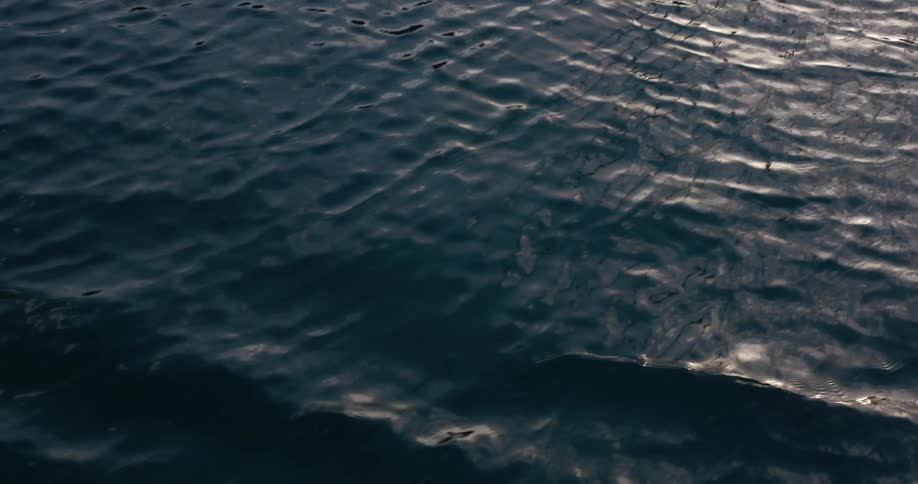 A footage of water ripple texture at dawn scene