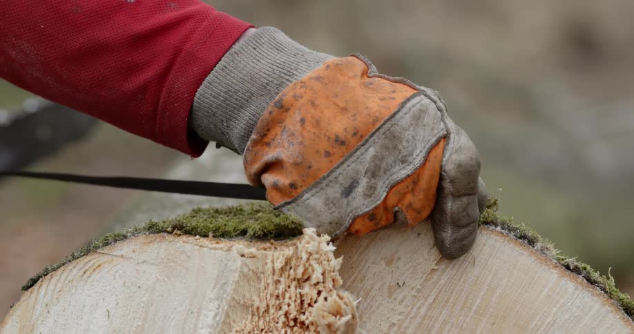 A man preparing a tree trunk to be chopped