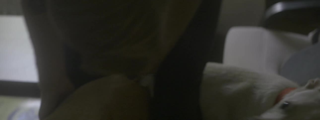 A man plays with his white labrador in a living room
