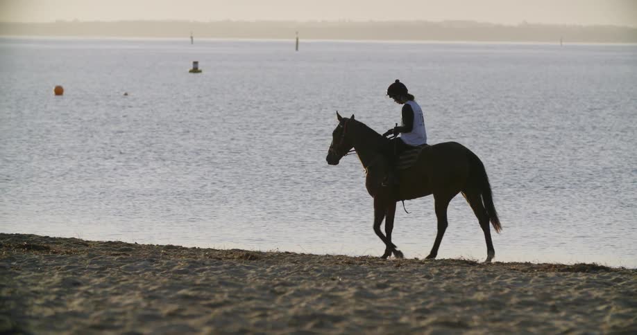 A young woman riding a horse on the beach