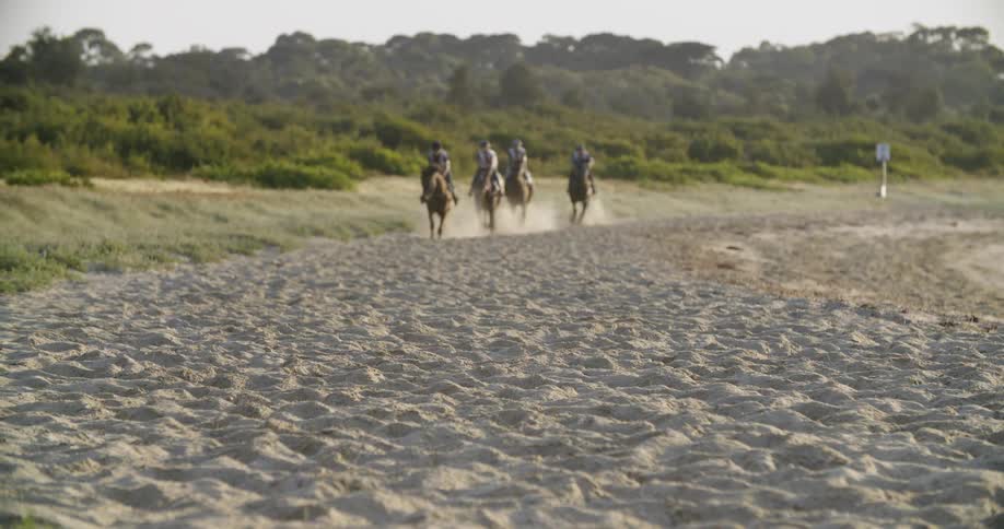 A group of people riding horses at the beach