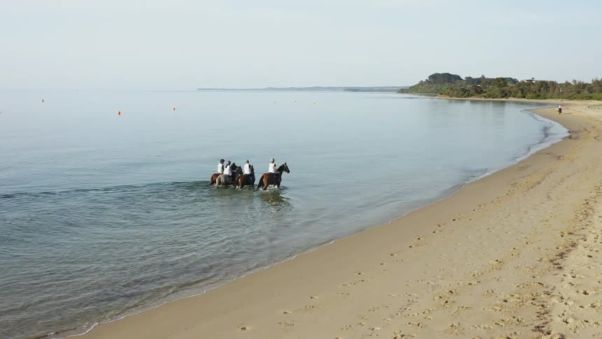 A group of people riding a horse on the beach coastal