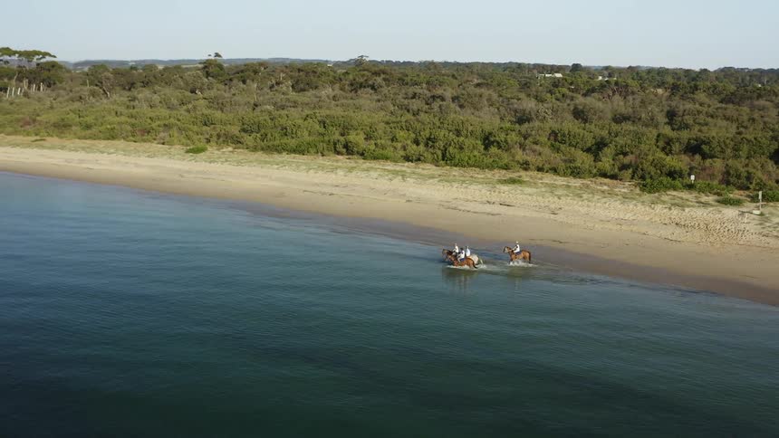 People riding horses into the open ocean