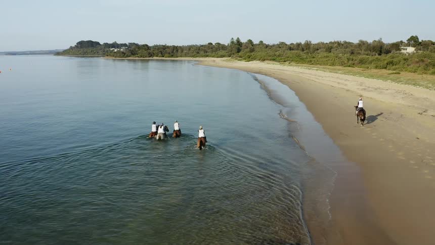 People are riding horses on the beach coast