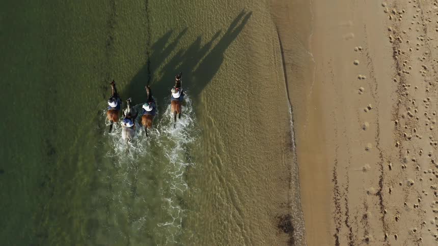 A group of four people riding horses through the shallows at a beach