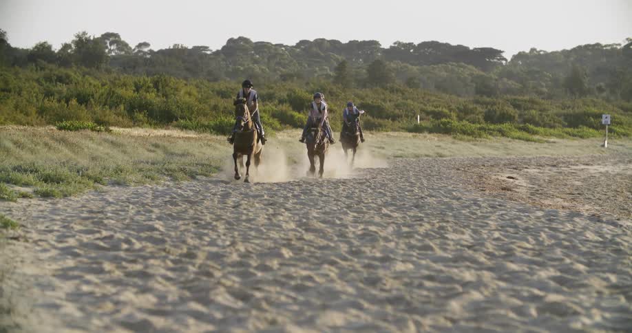 People doing a horse riding at the beach coastal