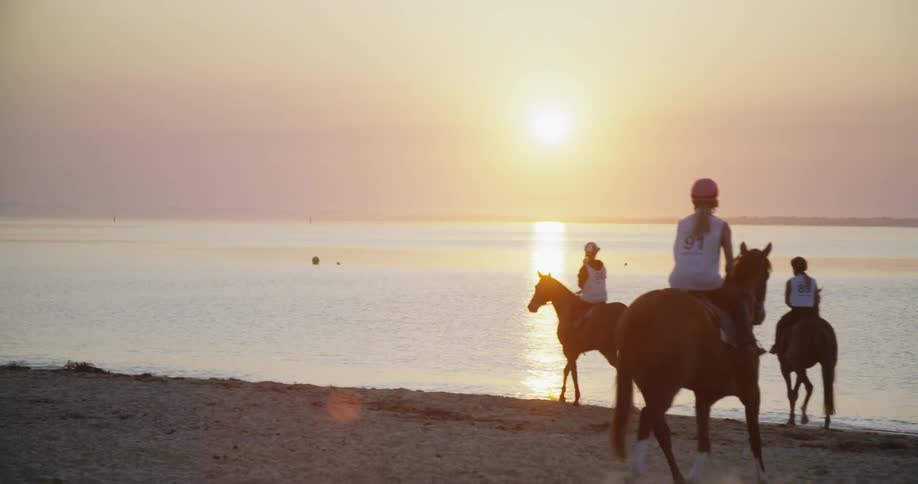 People ride horses on the beach at sunset
