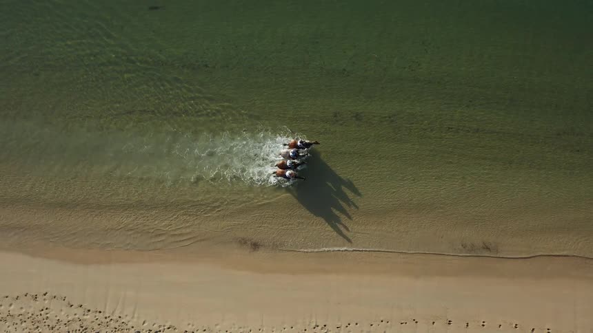 A group of people riding horse at the beach coastal