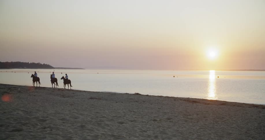 Three horse riders on a beach at sunset