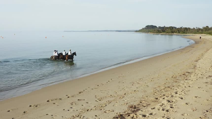 A group of people riding horse on the beach