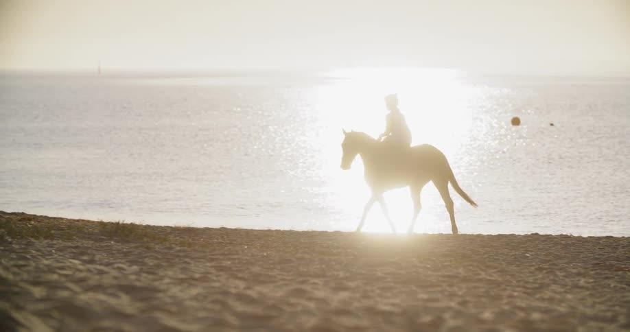 Girl ride a dark horse on the beach in the afternoon