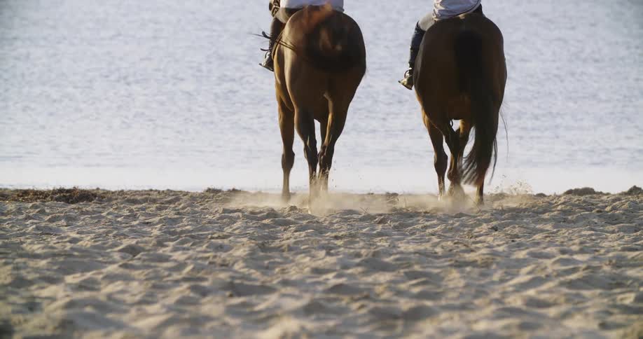 Two women ride horses on the beach next to the sea in the afternoon