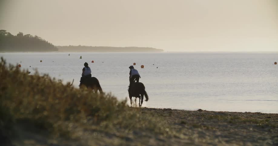 Two people ride horses along the coast of a beach