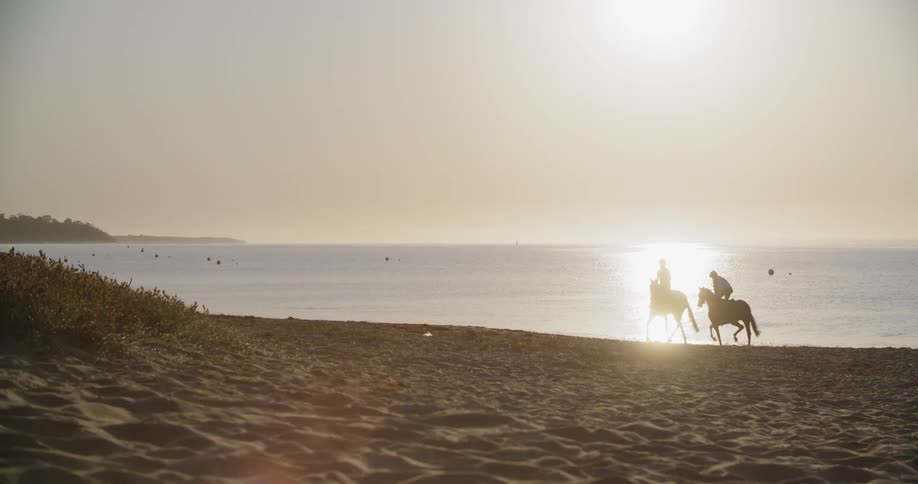 People doing a horse riding on the beach at the sunset