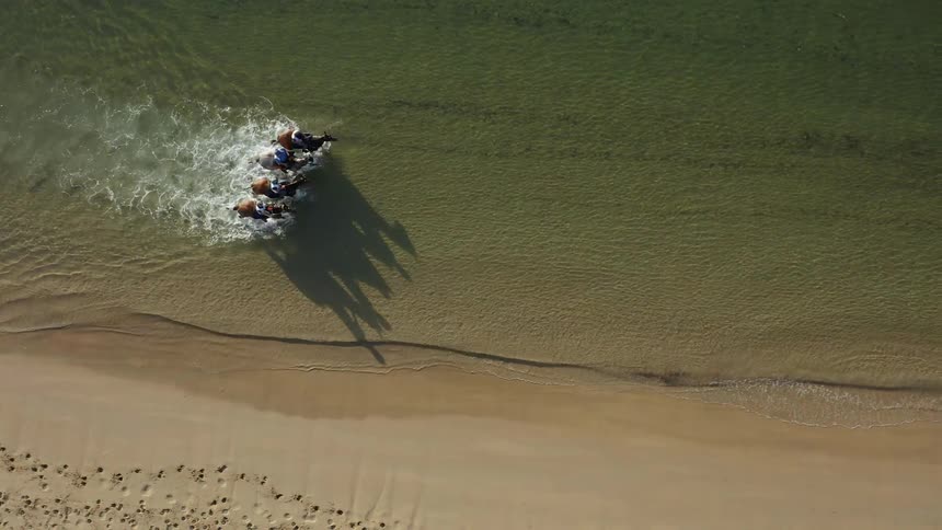 Horses are directed to wade through the sea just off the beach
