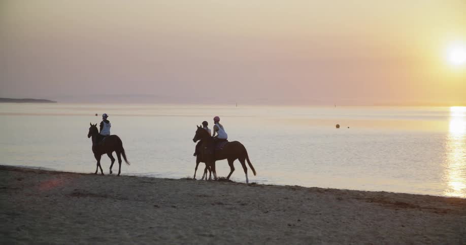 Three people on horses ride along the coast
