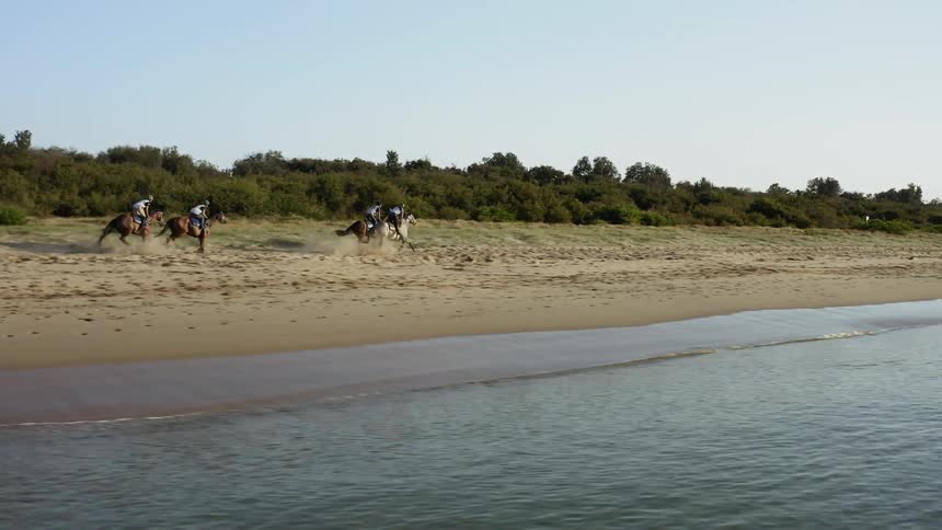 People are riding horses that are galloping in the sand of a beach