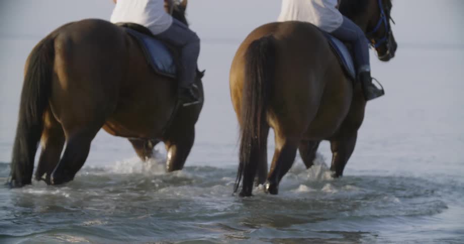 Two people ride horses through a lake
