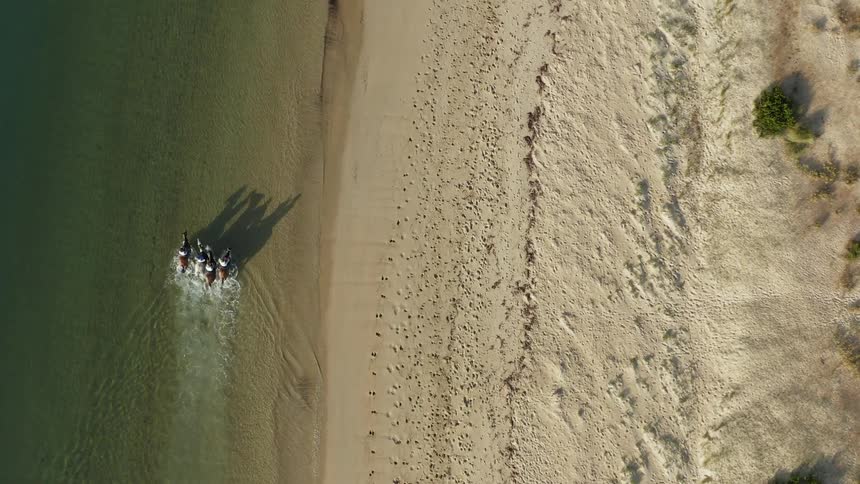 Four people riding horses through the shallow water at the beach