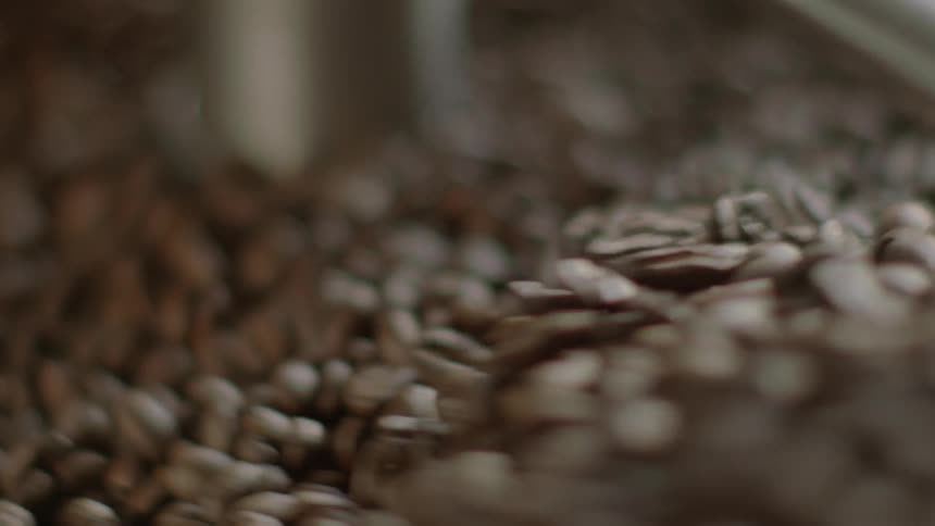 A machine is turning and drying coffee beans
